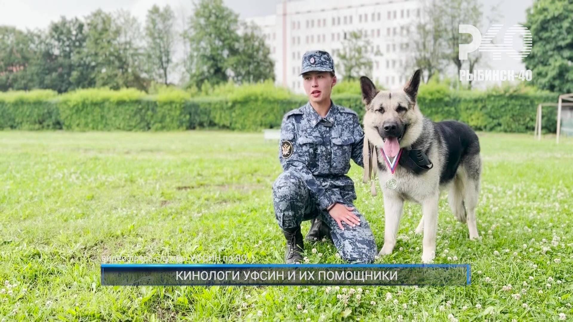 (Рыбинск-40) КИНОЛОГИ УФСИН И ИХ ПОМОЩНИКИ