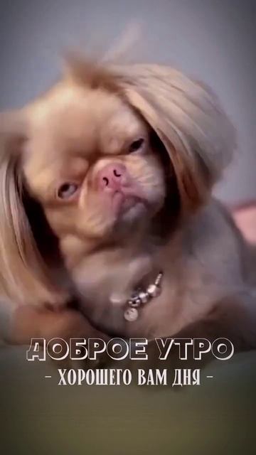 Доброе утро, Друзья ☕💖💖💖