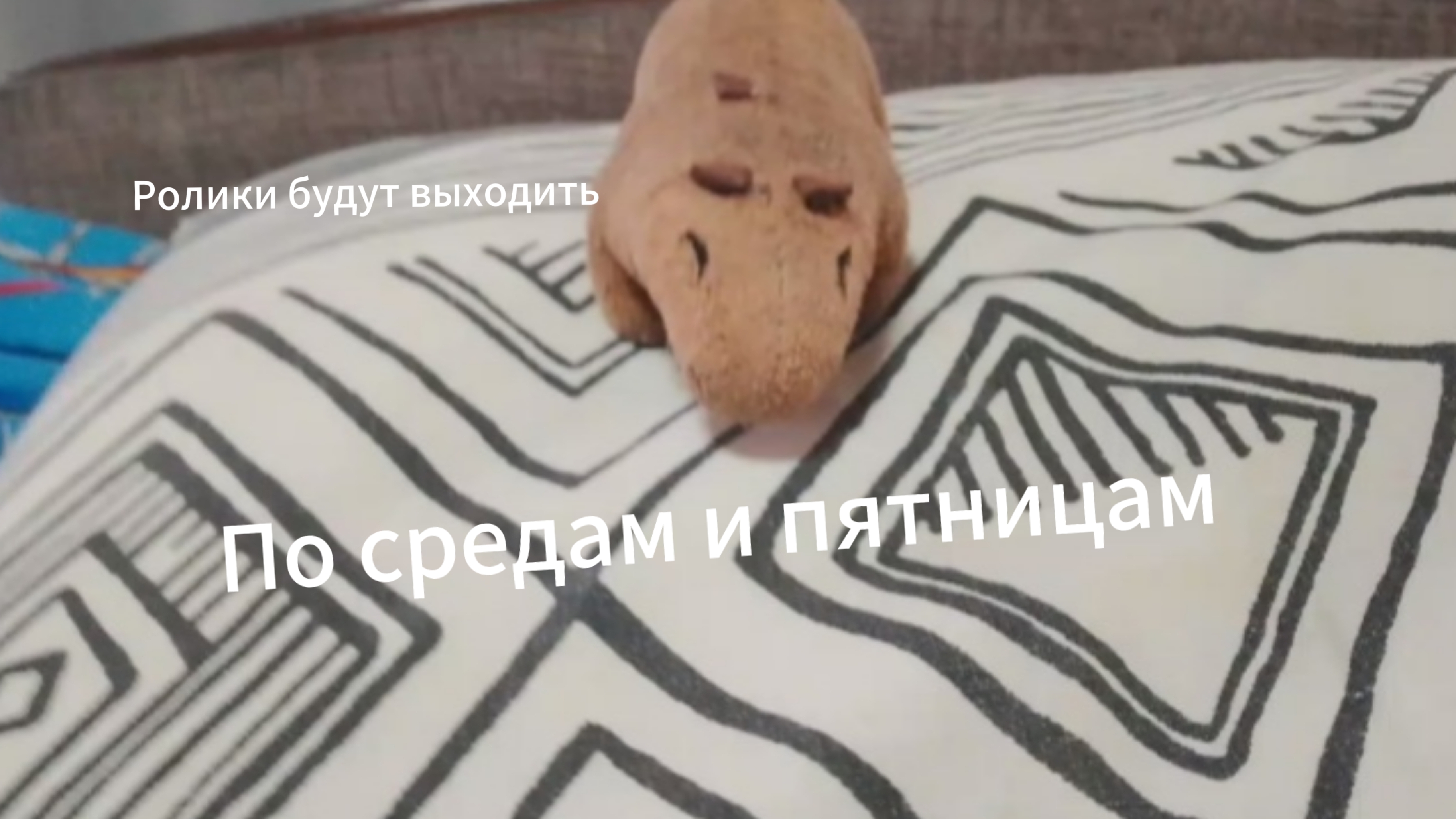 На этой неделе видео не будет, потому что я заболел😭