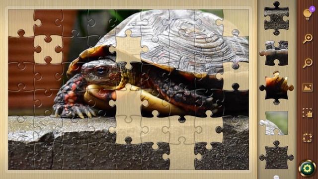 Пазлы онлайн бесплатно 🧩