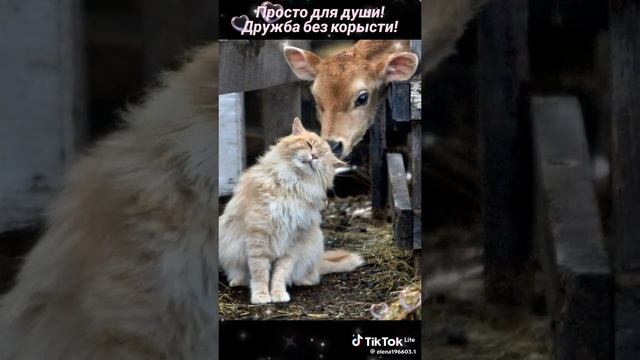 VID_20250623_234910_892.mp4