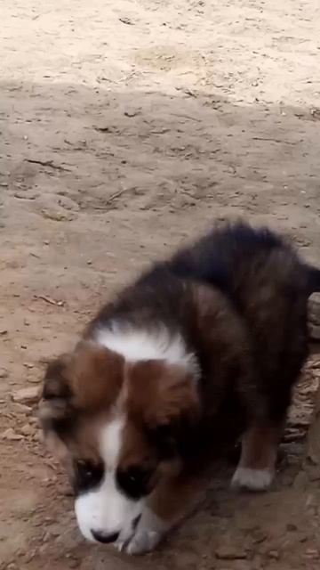 1000081677.mp4