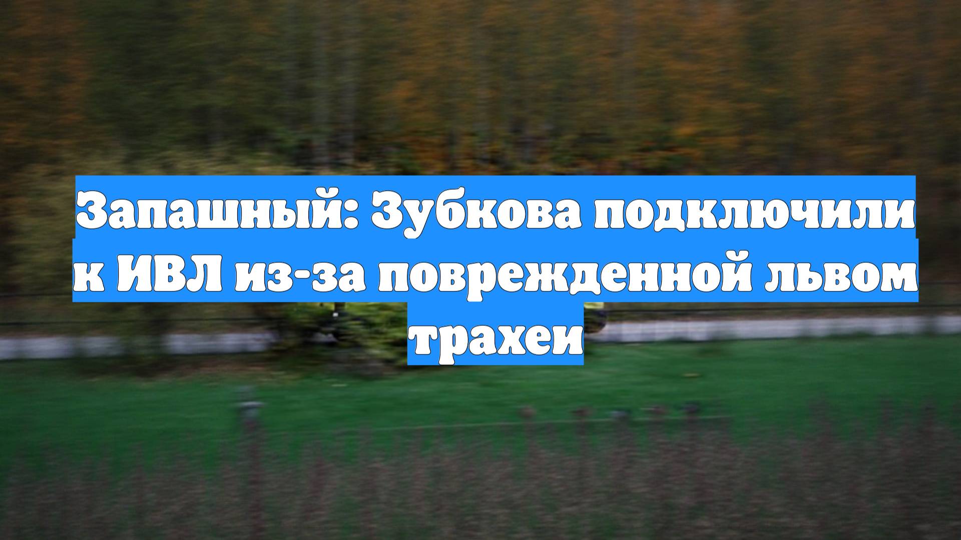 Запашный: Зубкова подключили к ИВЛ из-за поврежденной львом трахеи