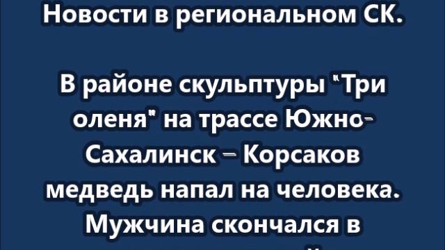 Двое жителей Сахалина погибли в результате нападения медведя