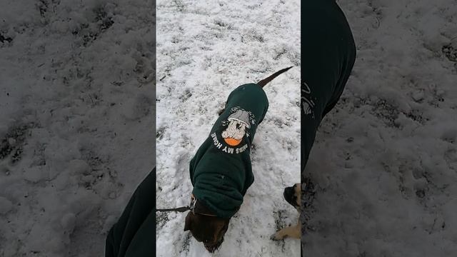 Сначала кирпичи, а девушки потом!