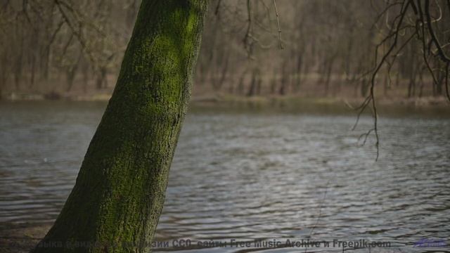 Звуки, используемые для материализации мыслей - это уже реальность! - The Easy Life -- PLANET WARDO