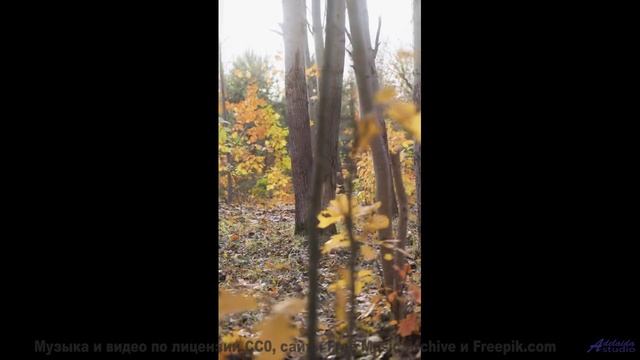 Клип, созданный на квантовом компьютере будущего - технологии опережают время! - Murky sweet sweet s