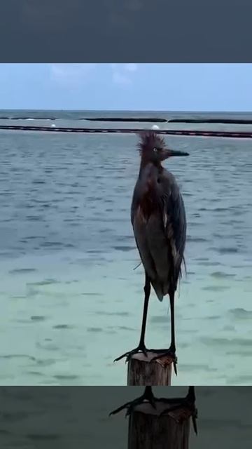 Я в первые дни на море😂
