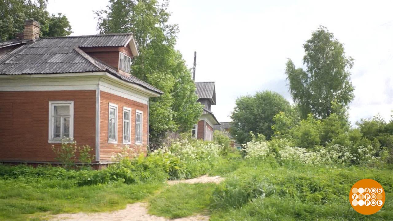 Архангельск - город 25 островов. Доброе утро. Фрагмент выпуска от 23.06.2025