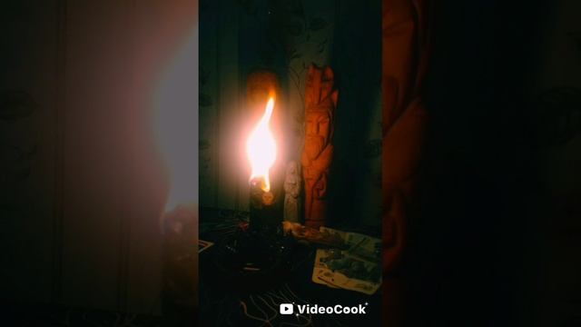 VideoCook_20250622_110705152.mp4