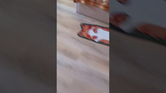 1000004443.mp4