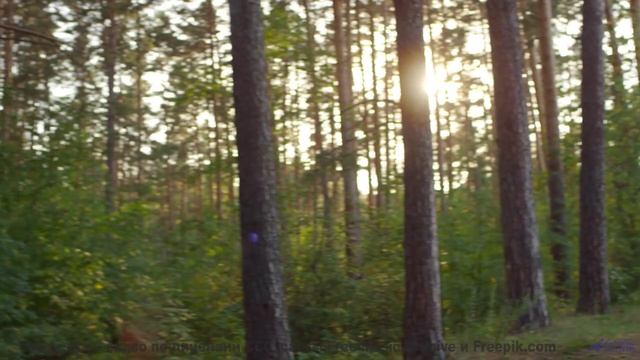 Видео, генерируемое ИИ в реальном времени - технологии поражают! - Worry -- Small Tall Order -- Easi