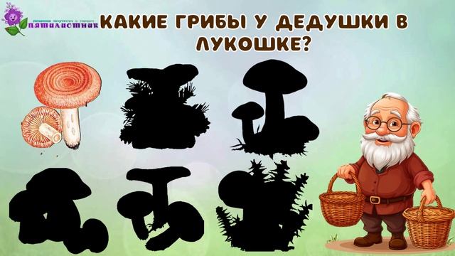 С дедушкой по грибы