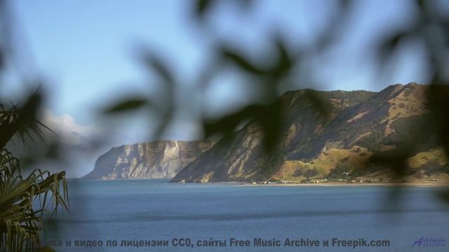 Леса звучат как личный саундтрек к мечтам - Bed of Weeds -- Derek Clegg -- Good Graces