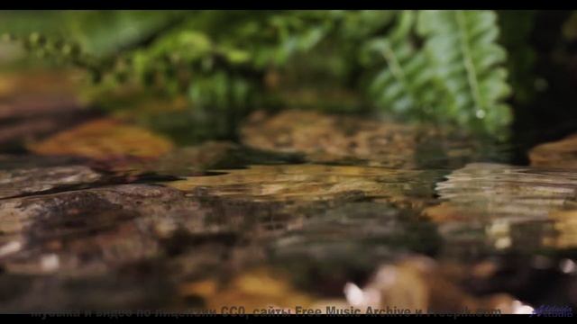 Это видео - как новогоднее чудо в ваших наушниках! - Unfocused -- Ketsa -- Through to Fall