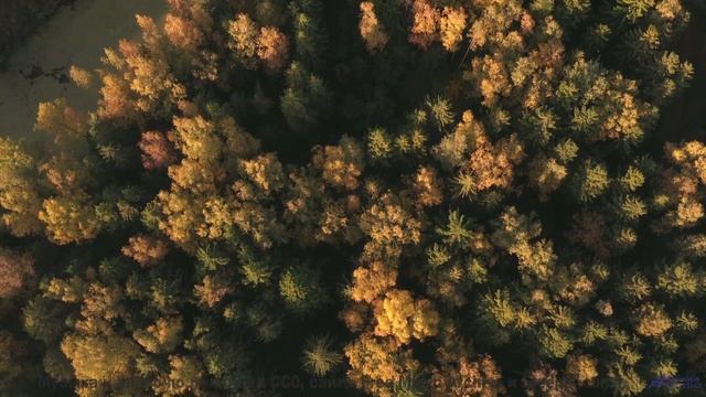 Поля и мелодия проникают под кожу мгновенно - Last time -- Vincent Augustus -- Bad People Make Good