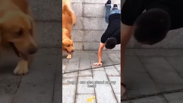 VID_20250623_144100_633.mp4