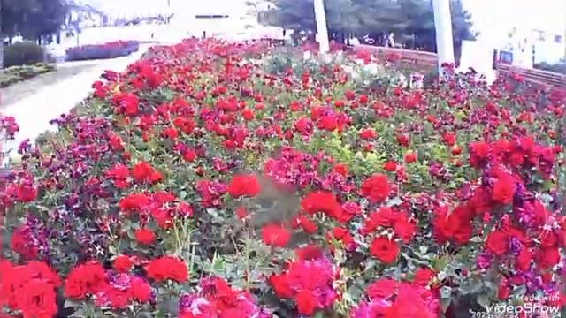 Мариуполь ⛵ мой любимый город ♥️