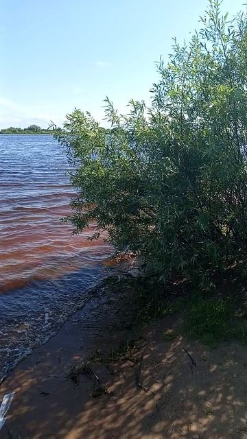 речка Волхов