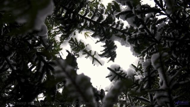 Поля расцветают при каждом аккорде этой мелодии - Letting Go -- Kirk Osamayo -- Season Two (YELLOW)