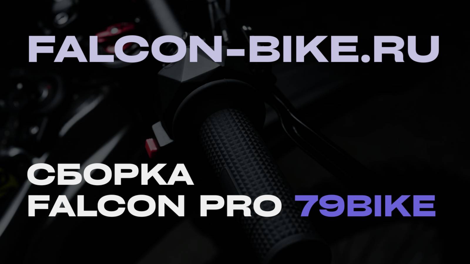 Сборка FALCON PRO 79BIKE