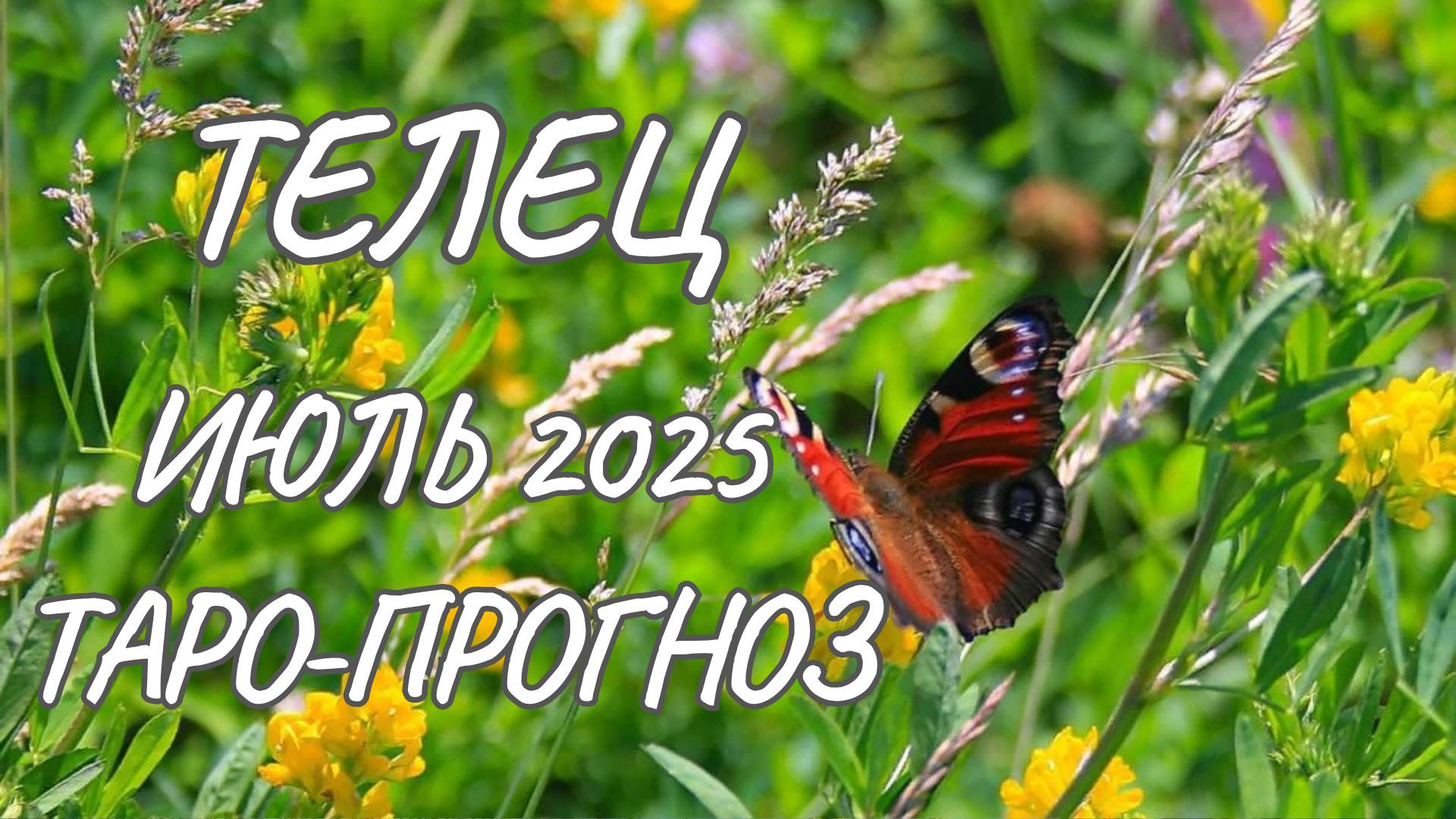 Телец ♉ Таро прогноз на июль 2025 года