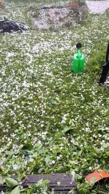 Градовая бомбардировка в Тогучинском районе Новосибирской области, 21 июня 2025.