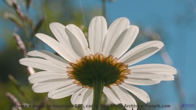 Мелодия, которая делает остановку у придорожного кафе незабываемой - Things Change -- HoliznaCC0 --