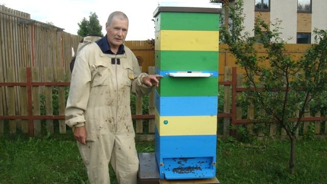 Использование перегородок с двойной решеткой у меня на пасеке. Часть 2.
