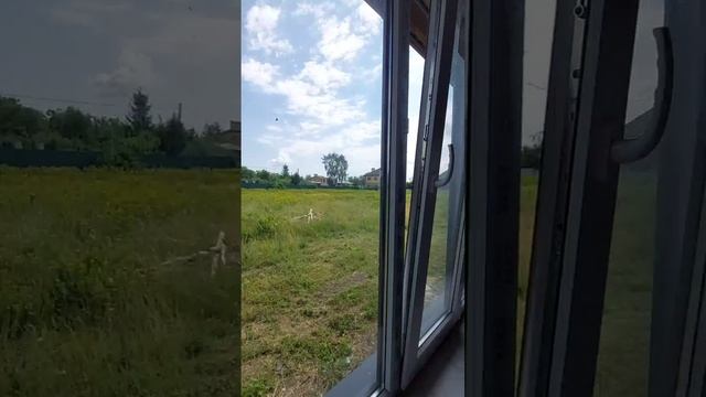 ленинаван стандарт