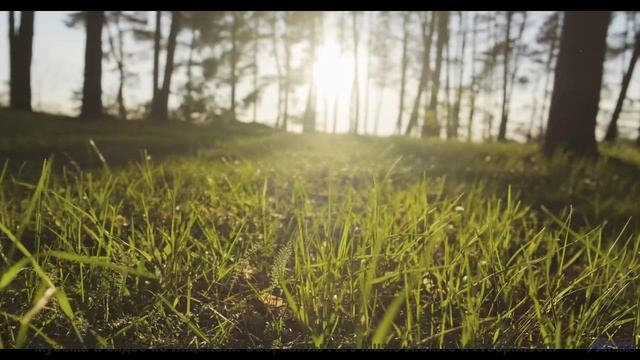 Эта музыка - ваш саундтрек для бесконечного путешествия вдвоём - wait up -- Vincent Augustus -- Nigh