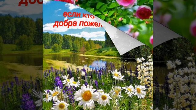 VID_20250623_234954_222.mp4