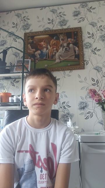 новости о видео
