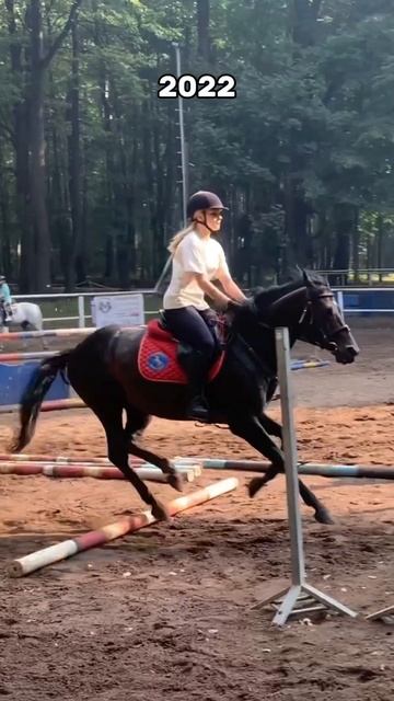 тг: они killкенни! #horse #лошади #equestrian #horseriding #equestrianlife #edit #equestrianrider