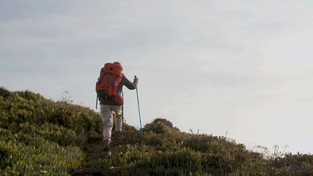 Звуки, материализующие мысли - где граница между наукой и магией - Pressure -- Makaih Beats -- Press