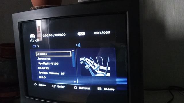 H1080w