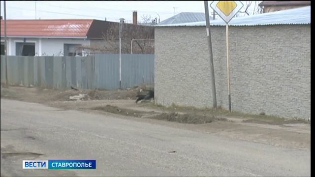На Ставрополье покусанной собакой девочке выплатят компенсацию