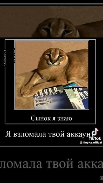 тоже шлёппа