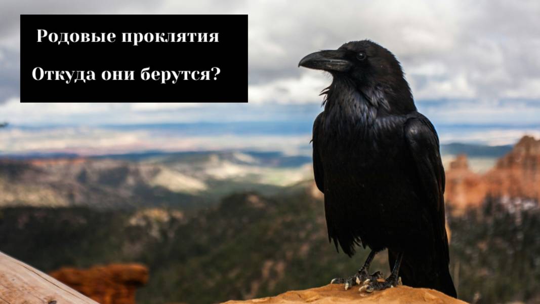 Родовые проклятия.
Откуда они берутся?