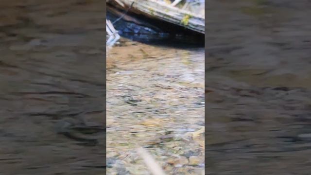 Лето..Сочи