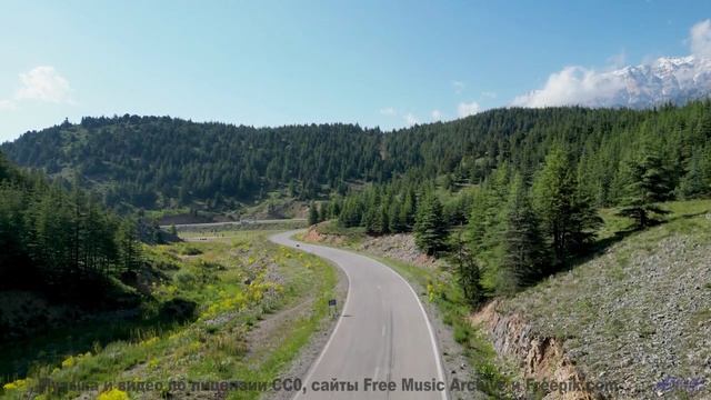 Эта музыка сливается с природой! - Crashing Mopeds -- Ryan Andersen -- MORE