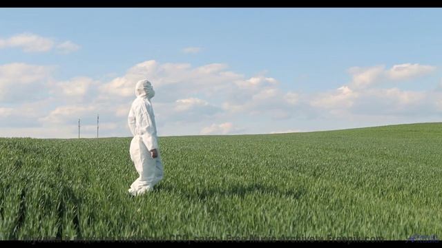 Поля разгораются красками вместе с мелодией - j-aime la musique -- Jean Toba -- first times