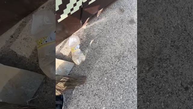 Застрял на крыше беседки