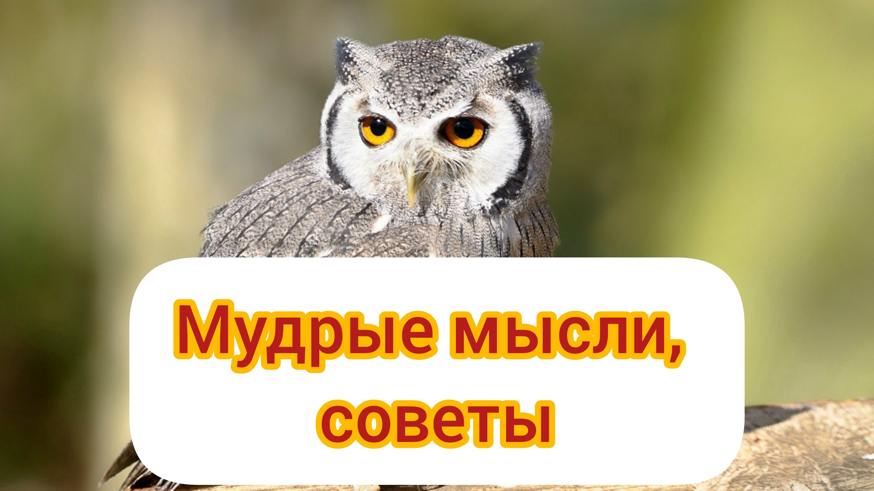Мудрые мысли, советы😀