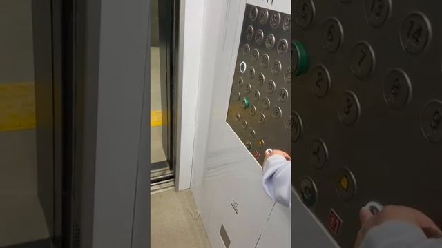 квартира Алтуфьево 55к2