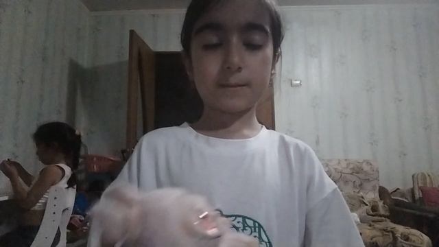 Обзор на лабубу