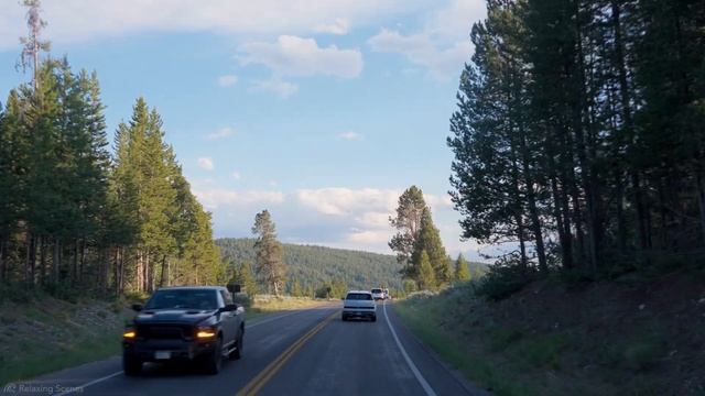 Поездка из Йеллоустоуна в 8K HDR Dolby Vision - Национальный парк Йеллоустоун в Джексон