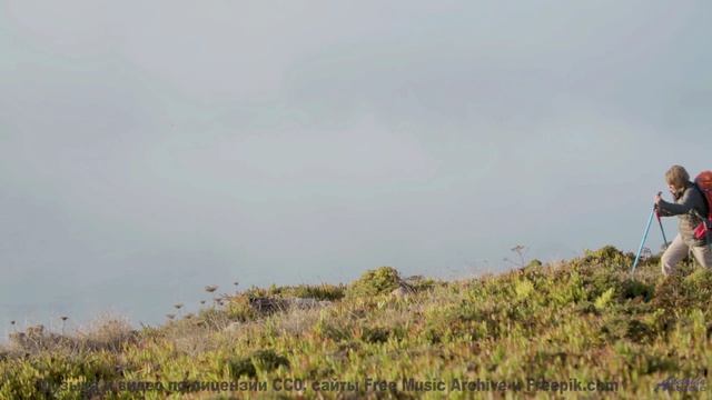 Каждая долина под такую мелодию становится личным раем - Working For The County -- Derek Clegg -- Go