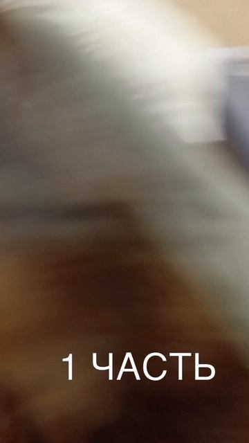 Обычный день 1 ЧАСТЬ