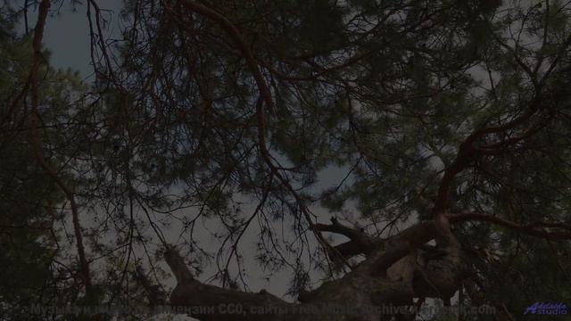 Эта композиция создана колебаниями мультивселенной - услышьте бесконечность! - Yesterday -- HoliznaC
